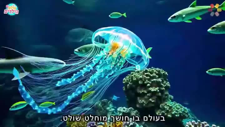 מדוזה