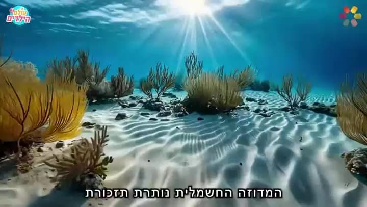 מדוזה